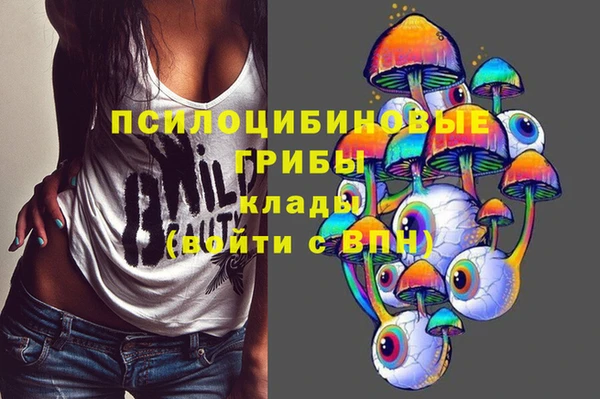 Альфа ПВП Лиски