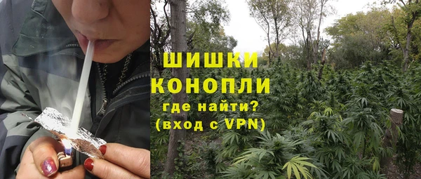 PSILOCYBIN Армянск