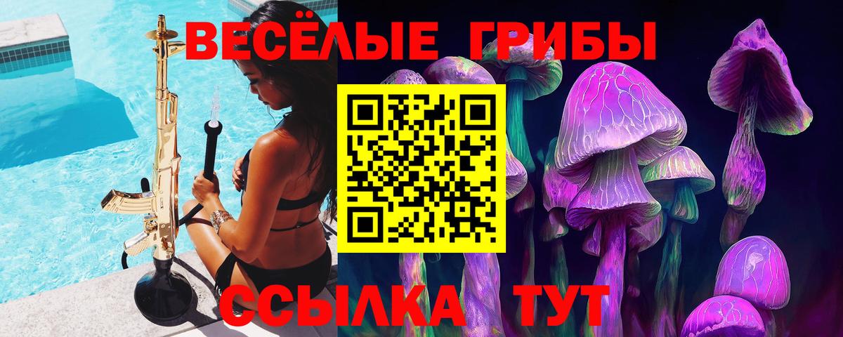 Псилоцибиновые грибы Cubensis Прокопьевск